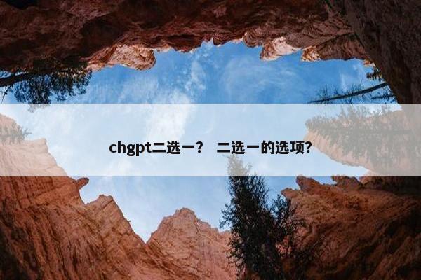 chgpt二选一？ 二选一的选项？