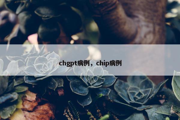 chgpt病例，chip病例