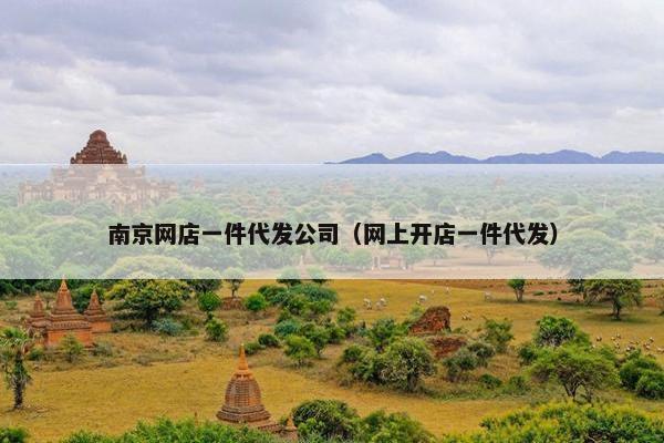 南京网店一件代发公司（网上开店一件代发）