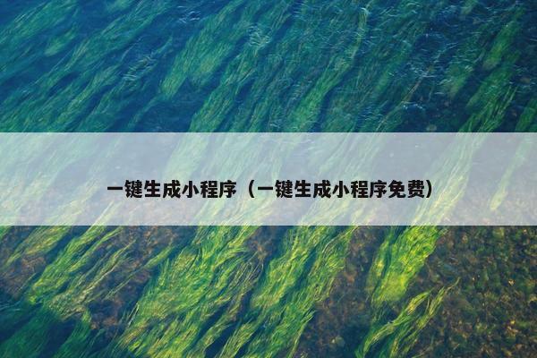 一键生成小程序（一键生成小程序免费）