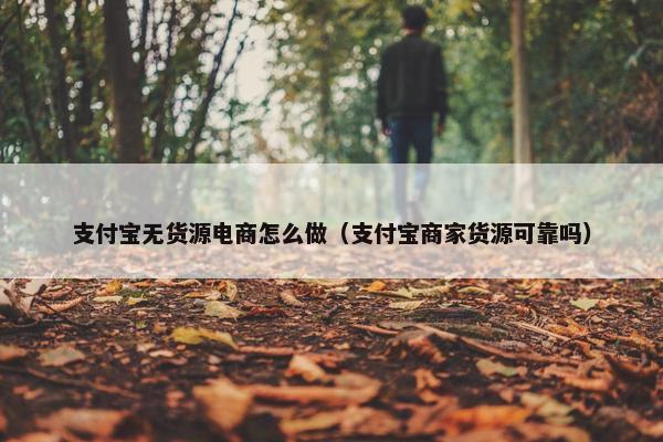 支付宝无货源电商怎么做（支付宝商家货源可靠吗）