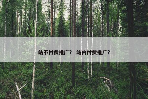 站不付费推广？ 站内付费推广？