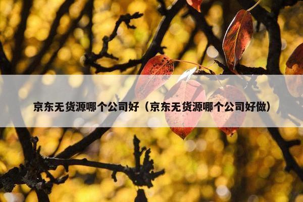 京东无货源哪个公司好（京东无货源哪个公司好做）