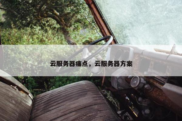 云服务器痛点，云服务器方案