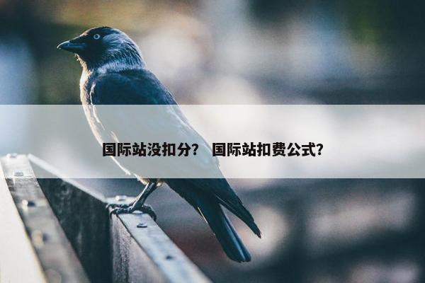 国际站没扣分？ 国际站扣费公式？