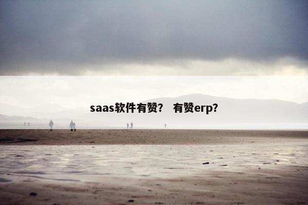 saas软件有赞？ 有赞erp？
