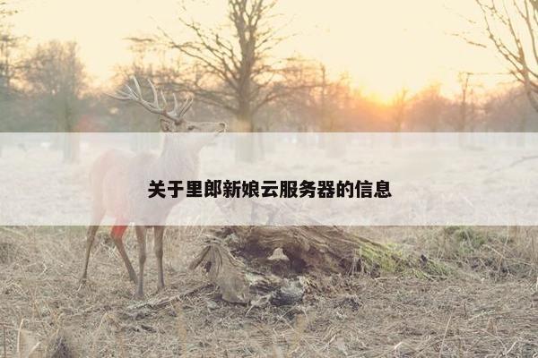 关于里郎新娘云服务器的信息