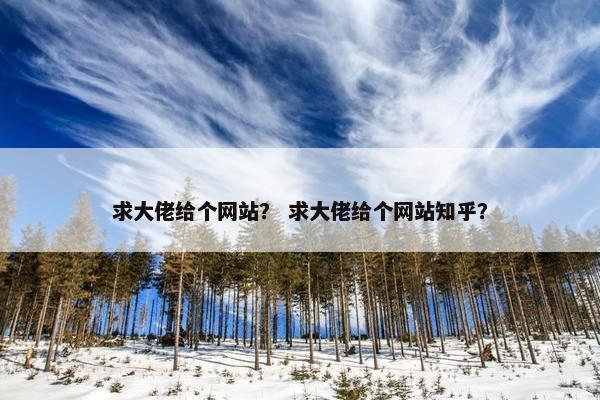 求大佬给个网站？ 求大佬给个网站知乎？
