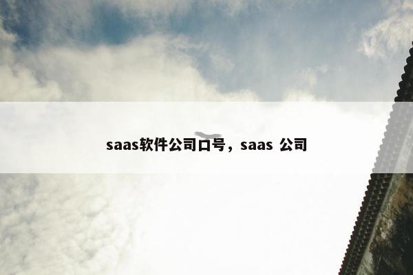 saas软件公司口号，saas 公司