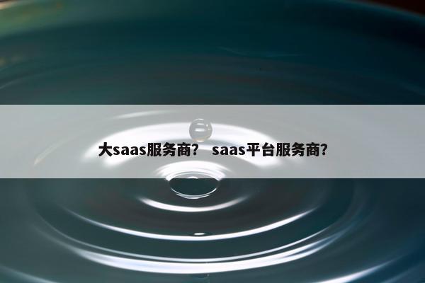 大saas服务商？ saas平台服务商？