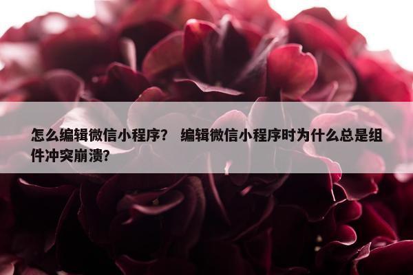 怎么编辑微信小程序？ 编辑微信小程序时为什么总是组件冲突崩溃？