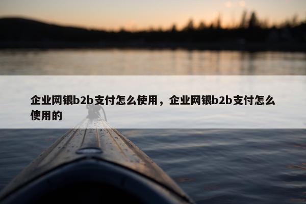 企业网银b2b支付怎么使用，企业网银b2b支付怎么使用的