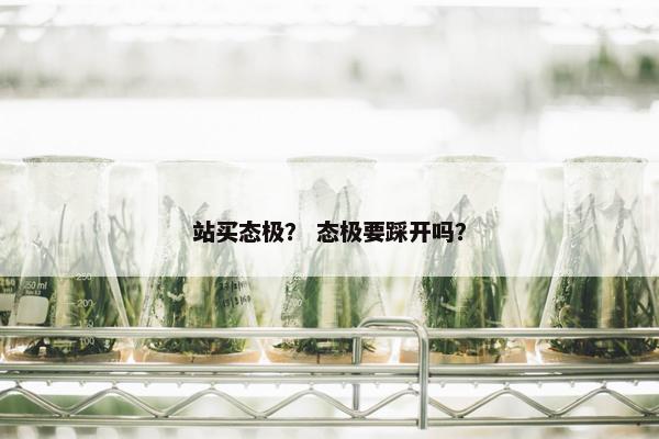 站买态极？ 态极要踩开吗？