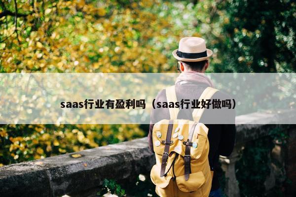 saas行业有盈利吗（saas行业好做吗）