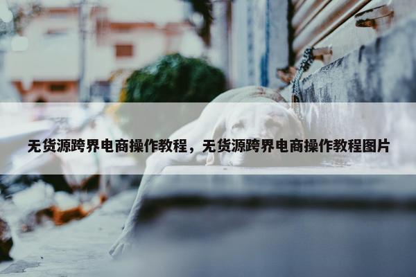 无货源跨界电商操作教程，无货源跨界电商操作教程图片