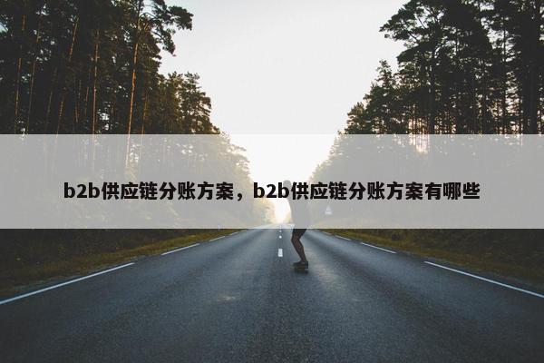 b2b供应链分账方案，b2b供应链分账方案有哪些