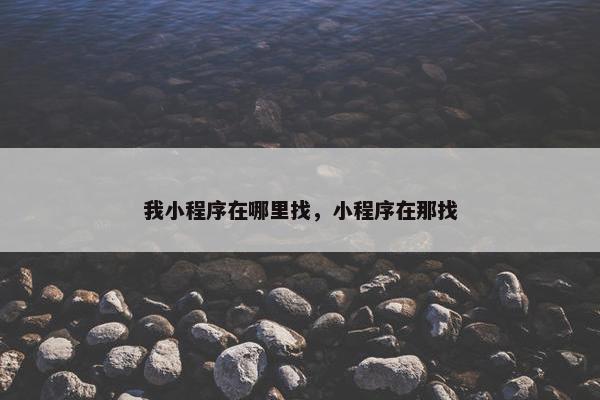 我小程序在哪里找，小程序在那找