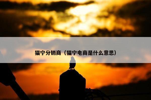 猫宁分销商（猫宁电商是什么意思）