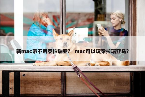 新mac带不用泰拉瑞亚？ mac可以玩泰拉瑞亚马？