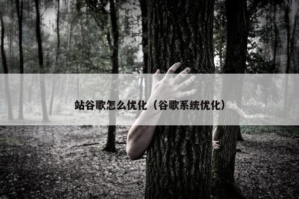 站谷歌怎么优化（谷歌系统优化）