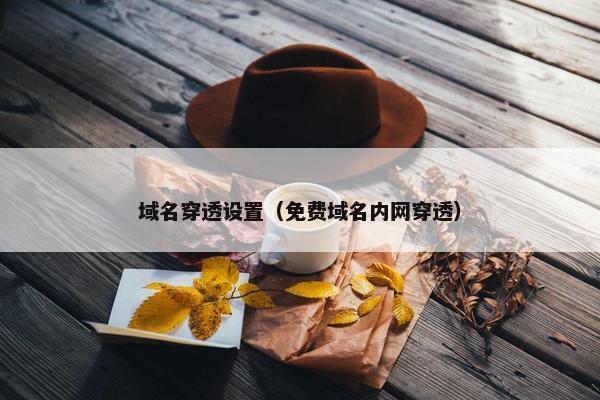 域名穿透设置（免费域名内网穿透）