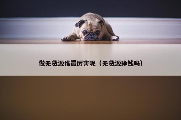 做无货源谁最厉害呢（无货源挣钱吗）