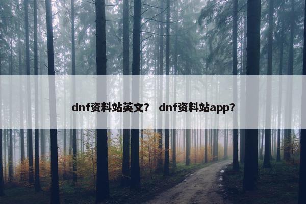 dnf资料站英文？ dnf资料站app？