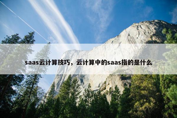 saas云计算技巧，云计算中的saas指的是什么