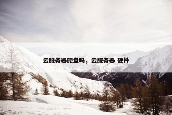 云服务器硬盘吗，云服务器 硬件