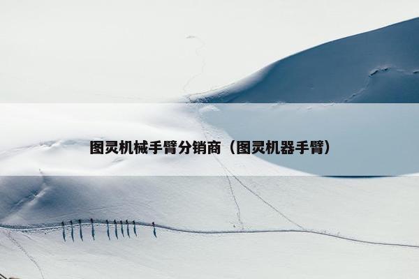 图灵机械手臂分销商（图灵机器手臂）