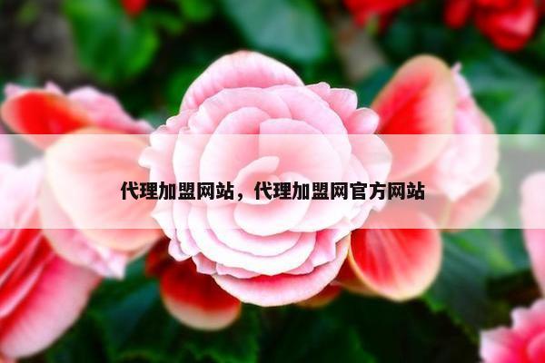 代理加盟网站，代理加盟网官方网站