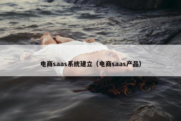电商saas系统建立（电商saas产品）
