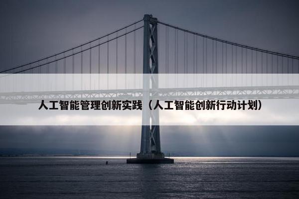 人工智能管理创新实践（人工智能创新行动计划）