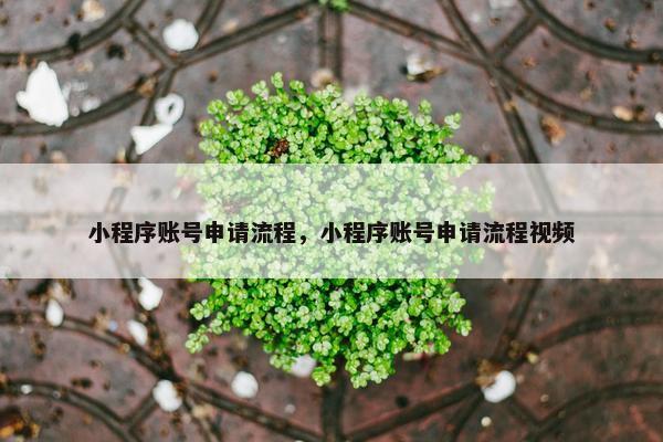 小程序账号申请流程，小程序账号申请流程视频