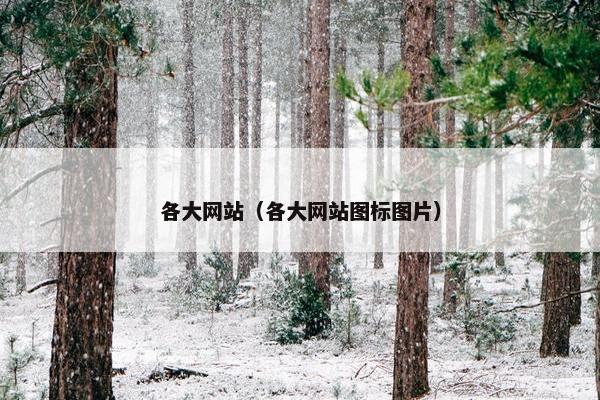 各大网站（各大网站图标图片）