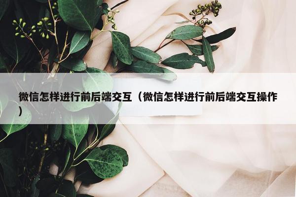 微信怎样进行前后端交互（微信怎样进行前后端交互操作）