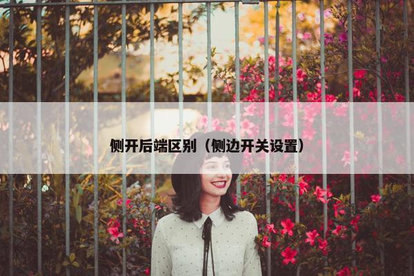 侧开后端区别（侧边开关设置）