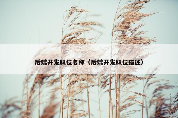 后端开发职位名称（后端开发职位描述）