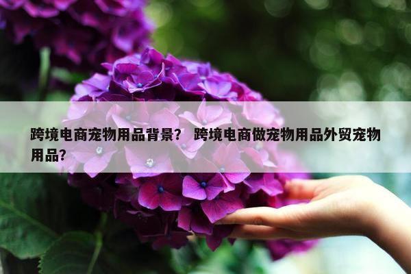 跨境电商宠物用品背景？ 跨境电商做宠物用品外贸宠物用品？