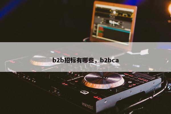 b2b招标有哪些，b2bca