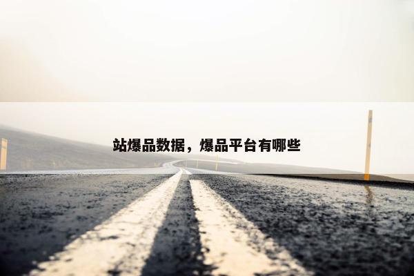站爆品数据，爆品平台有哪些