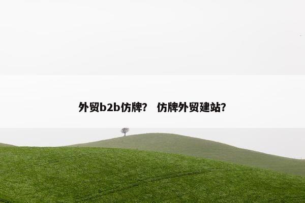 外贸b2b仿牌？ 仿牌外贸建站？
