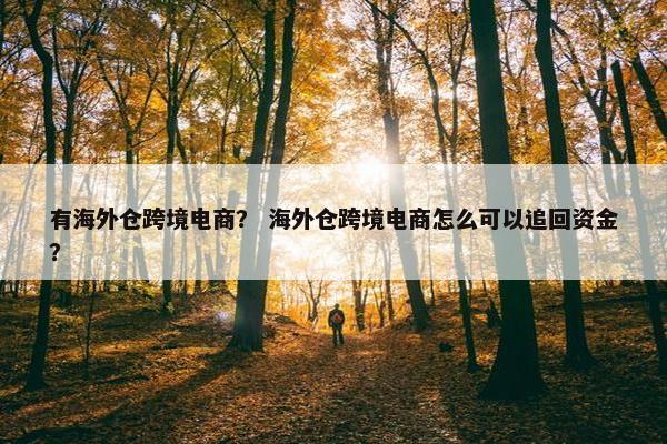 有海外仓跨境电商？ 海外仓跨境电商怎么可以追回资金？