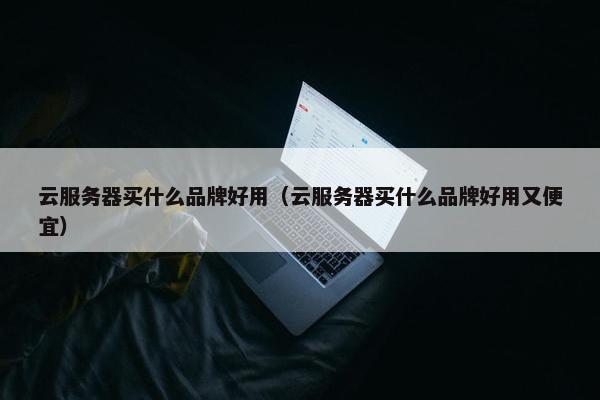 云服务器买什么品牌好用（云服务器买什么品牌好用又便宜）