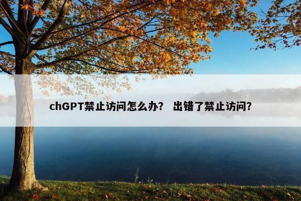 chGPT禁止访问怎么办？ 出错了禁止访问？