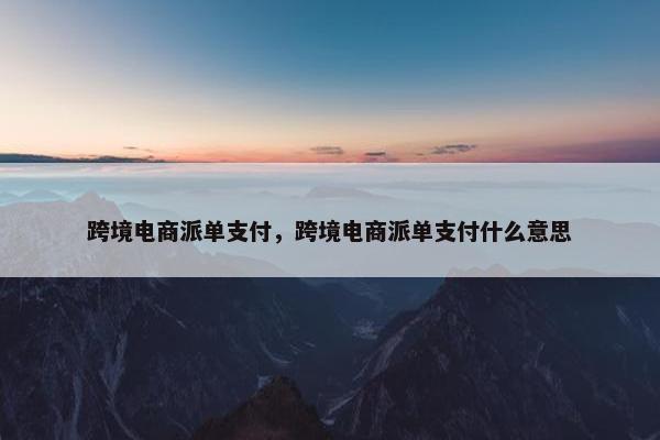 跨境电商派单支付，跨境电商派单支付什么意思