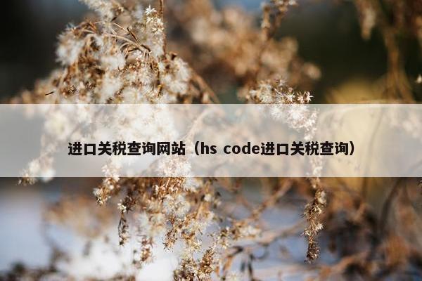 进口关税查询网站（hs code进口关税查询）