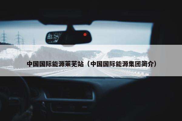 中国国际能源莱芜站（中国国际能源集团简介）