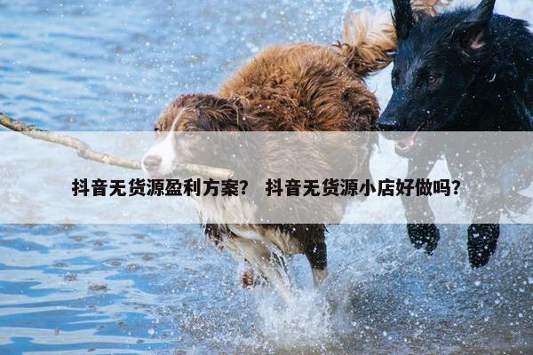 抖音无货源盈利方案？ 抖音无货源小店好做吗？