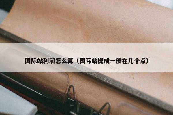 国际站利润怎么算（国际站提成一般在几个点）
